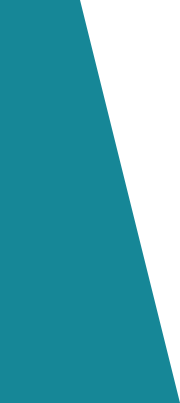 banner-one-shape-1